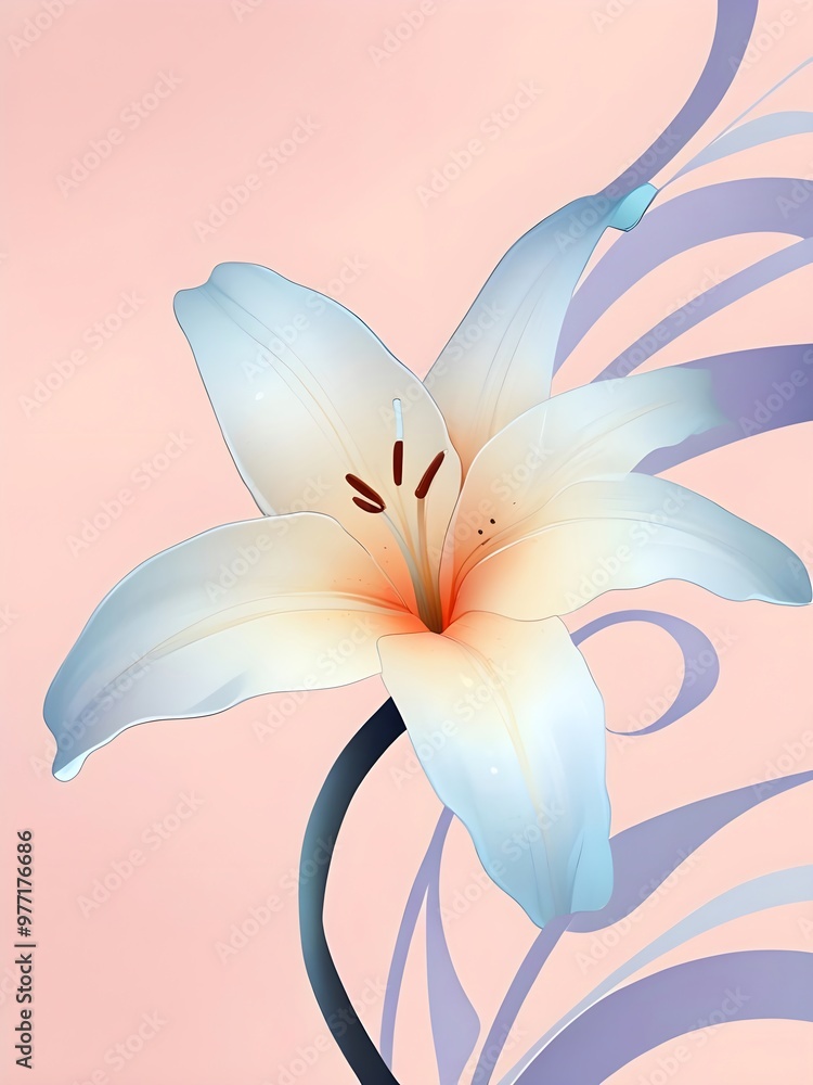 Poster white lily with pink background