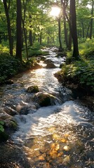 Obraz premium Sunlight filters through the trees, illuminating a tranquil stream winding through a lush forest.