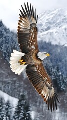 A majestic bald eagle soars through the air, its powerful wings outstretched against a snowy mountain backdrop.
