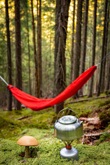 Hiking high in the mountains with a hammock, camping in the forest.