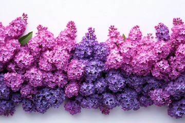 Obraz premium A bouquet of purple and pink flowers is arranged in a row. The flowers are purple and pink, and they are arranged in a way that creates a sense of harmony and balance