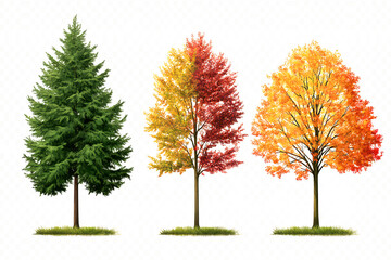 autumn fall season forest woods nature trees