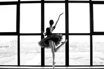Graceful Ballerina in Tutu Performing in Front of Large Window, Silhouette of Ballet Pose in Studio © Oksana