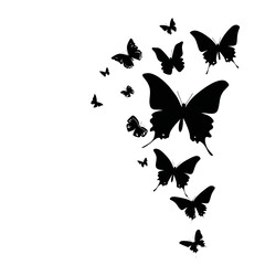 A flying butterflies silhouette black isolated on white background