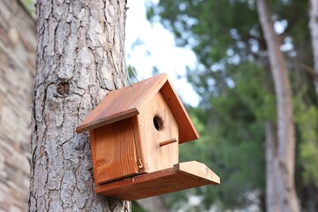 Beautiful wooden birdhouse hanging on tree trunk in park