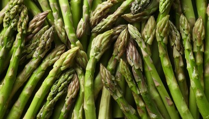Fototapeta premium asparagus repeated pattern