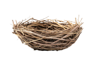 Empty birds nest on white background,png