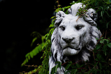 Posąg lwa © topolinskimm