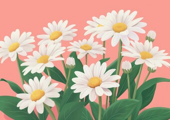 A beautiful arrangement of white daisies with yellow centers against a soft pink background The flowers are vibrant and fresh, showcasing their natural beauty