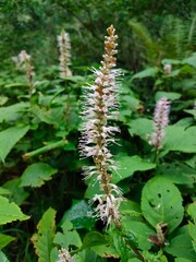 山の風景
Mountain scenery