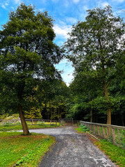 Winding path of a gravel pathway in a city park with many trees.