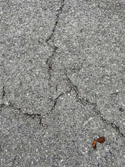 asphalt cracks, pavement destruction, patched asphalt texture of white paint for road marking on asphalt, texture of painted asphalt cracked texture white background, white background on gray wall