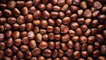 chestnut nut repeated pattern 