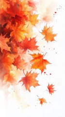 Watercolor Maple Leaves in Autumn Breeze on White Background