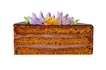 Delicious chocolate cake slice decorated with butter cream flowers