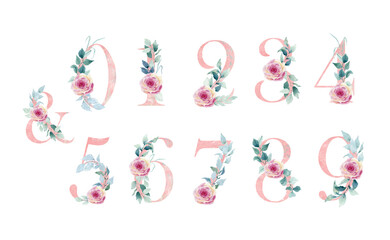 Watercolor floral numbers.