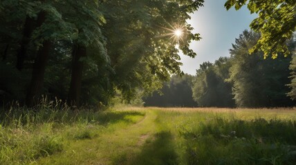 Obraz premium Field , Forest, Nature, Summer, Sky, Sun, Trees, Clouds, Grass, Plants, Flowers, Sunset, Water