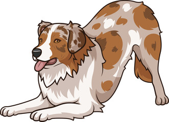Cartoon playful australian shepherd vector illustration
