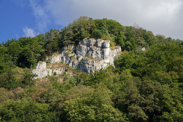 przyroda w parku krajobrazowym