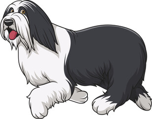 Cartoon bearded collie dog running vector illustration