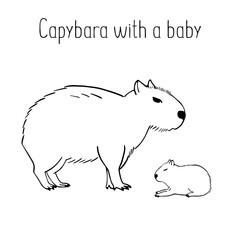 Capybara Mom and cute little Baby in sketch style. The largest rodent. Wildlife animal outline vector illustration