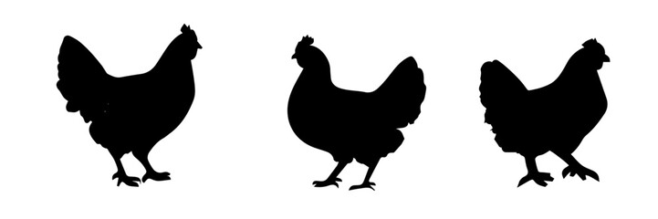 Shadow vector of a chicken