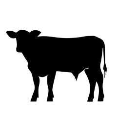 silhouette of a cow