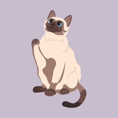 Cute seamese cat looking up Illustration for animal food packaging Vector image. Allowed and prohibited foods for a cat Isolated