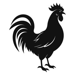 Rooster chicken black silhouette Vector illustration isolated on a white background