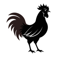 Rooster chicken black silhouette Vector illustration isolated on a white background