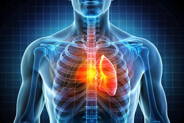 A realistic depiction of a human chest with a subtle grid pattern in the background, highlighting the x-ray contrast sensitivity of the lungs, heart, and surrounding tissues