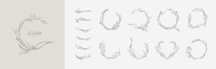 Set of elegant calligraphic botanical design elements, floral frame and graceful branches. Wedding wildflowers for invitation save the date card. Botanical feminine rustic vector illustration