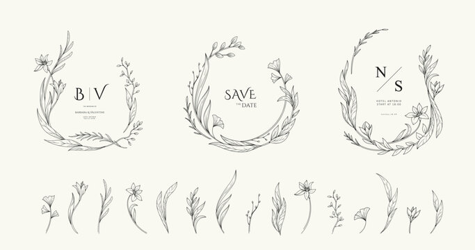 Set of elegant calligraphic botanical design elements, floral frame and graceful branches. Wedding wildflowers for invitation save the date card. Botanical feminine rustic vector illustration