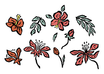 Set of abstract inky jungle flowers sketches isolated on white. Hand drawn doodle florals. Botanical illustrations bundle © akini