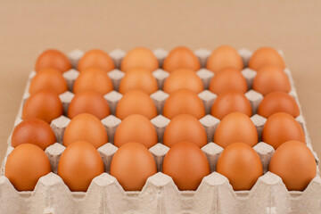 Fresh, clean, orange-shelled eggs are a nutritious and high-protein food for good health.