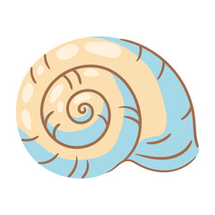 Illustration of seashell. Tropical underwater mollusk shell.