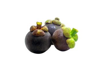 Obraz premium The dark purple Garcinia mangostana