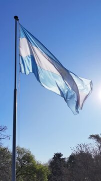 bandera argentina flameando sobre sol, cielo azul	
