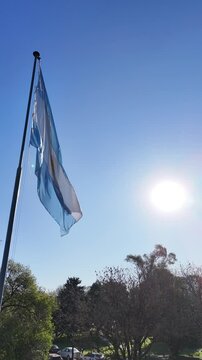 bandera argentina flameando sobre sol, cielo azul	
