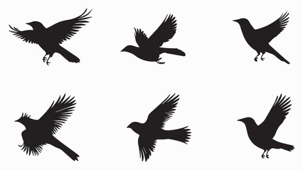 Set of black bird silhouettes. Vector elements for design.