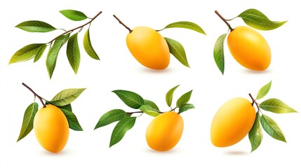 Obraz premium Collection of fresh, ripe yellow mangoes with green leaves on white background, perfect for fruit illustrations and healthy food concepts.