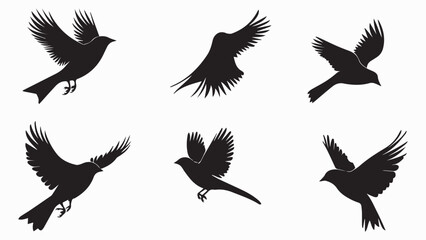 Set of black bird silhouettes. Vector elements for design.