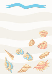 Background with seashells. Tropical underwater mollusk shells illustration.