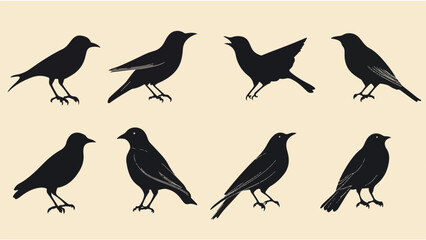 Set of black bird silhouettes. Vector elements for design.