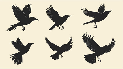 Set of black bird silhouettes. Vector elements for design.