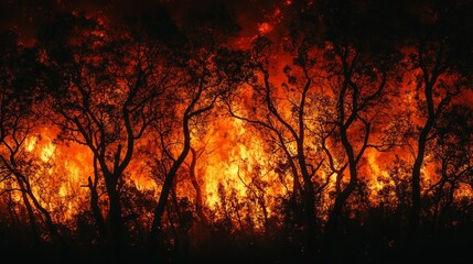 Fiery blaze engulfing a dense forest during a nighttime inferno