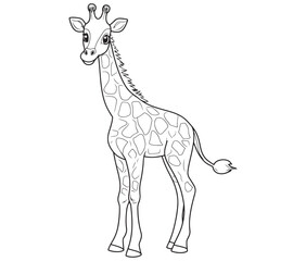 Coloring pages of giraffes for kids giraffe cartoon isolated on white