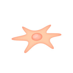 Fibroblast illustration 