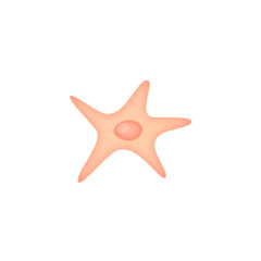 Fibroblast illustration 