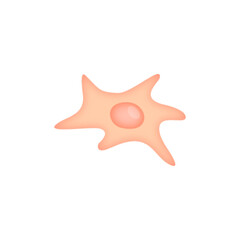 Fibroblast illustration 